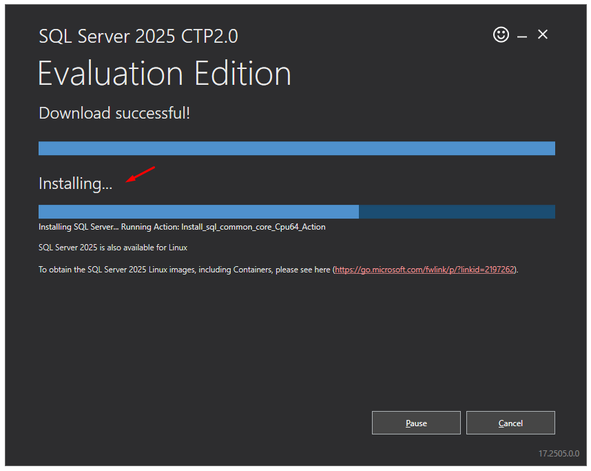 After Downloading Installing will start